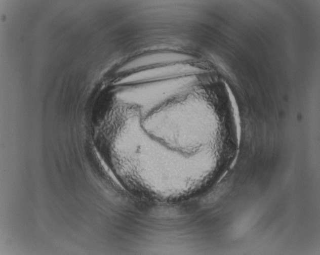 X0000067380354200604281822