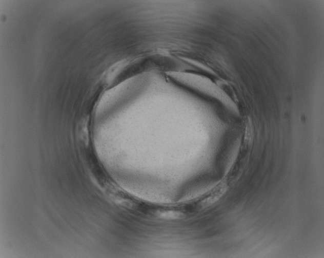 X0000067380360200604281822
