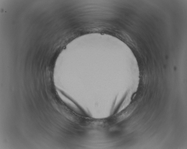 X0000067380366200604281823