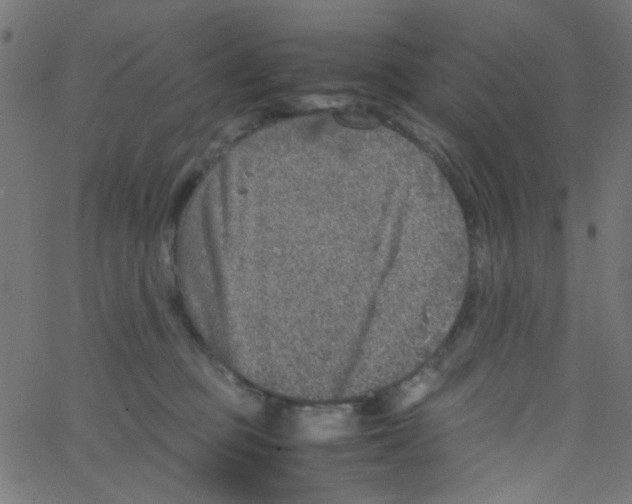 X0000067380373200604281823