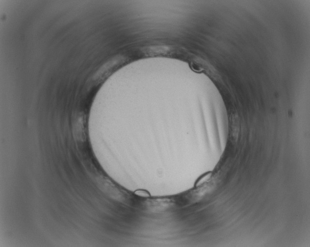 X0000067380378200604281823