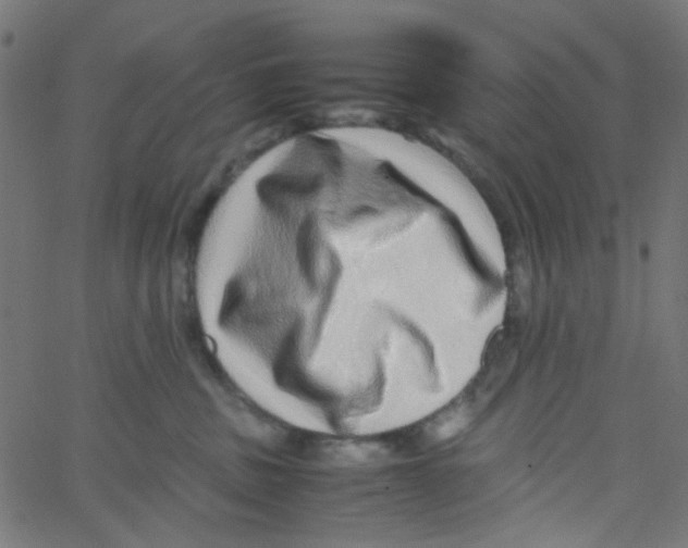 X0000067380379200604281823