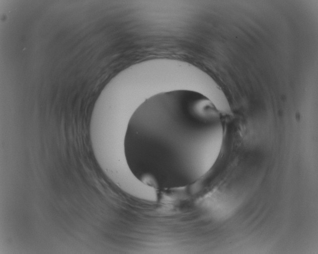 X0000067380380200604281823