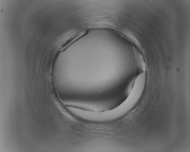 X0000067380389200604281822