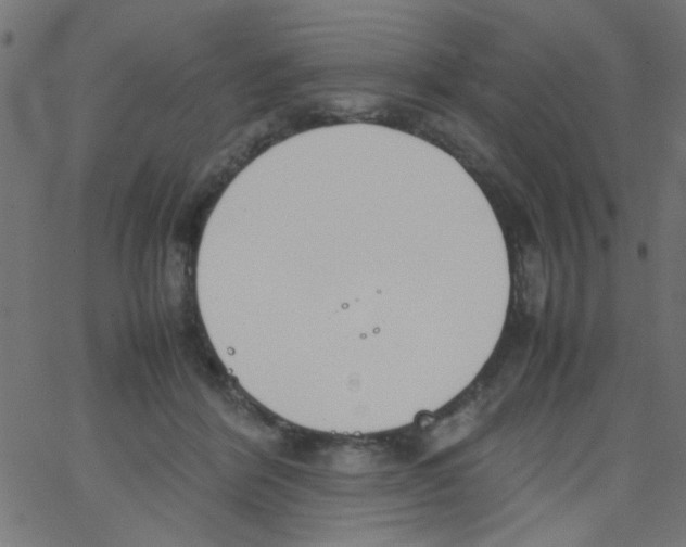 X0000067380412200604281822
