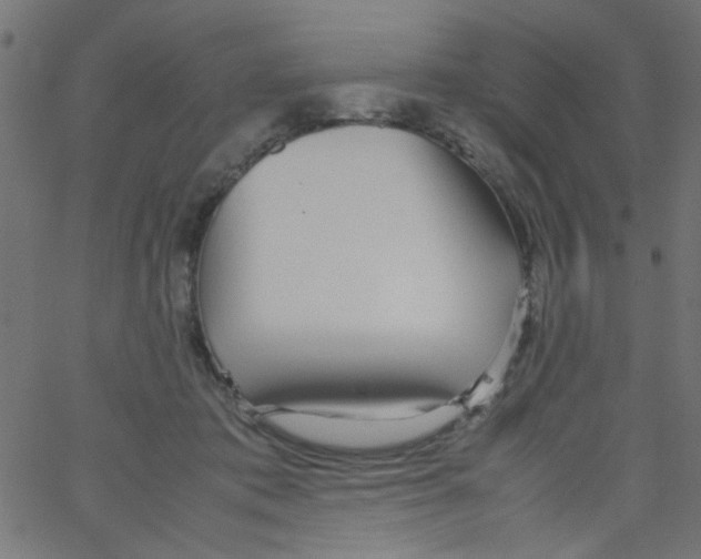 X0000067380413200604281822