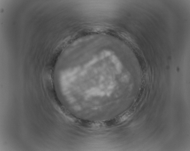 X0000067380415200604281822