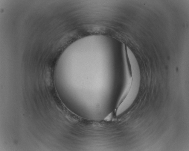 X0000067380416200604281822