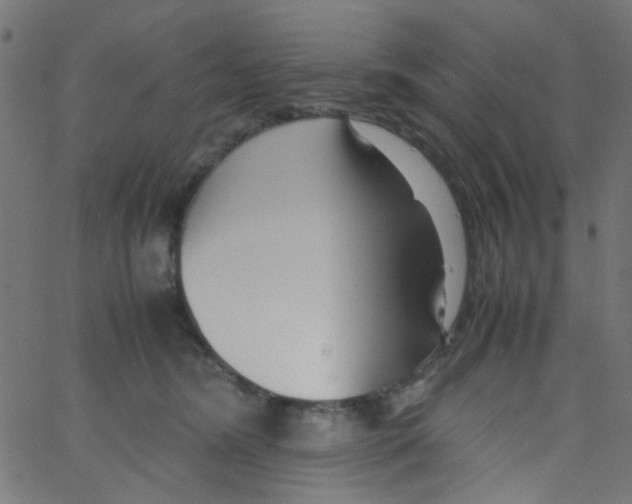 X0000067380420200604281821