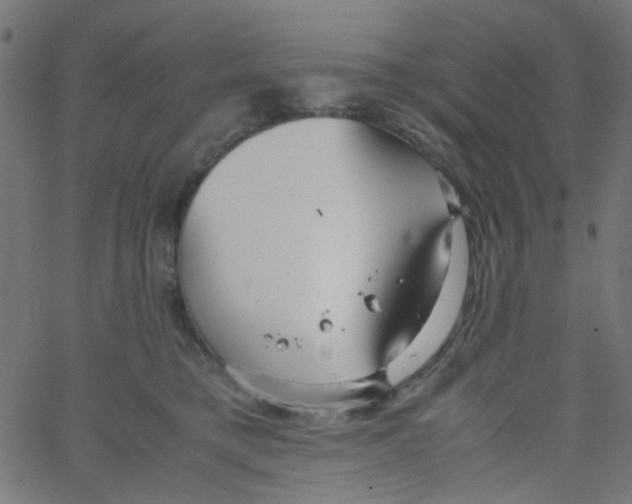 X0000067380421200604281821
