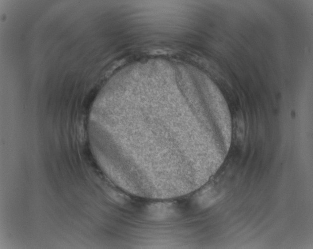 X0000067380422200604281821
