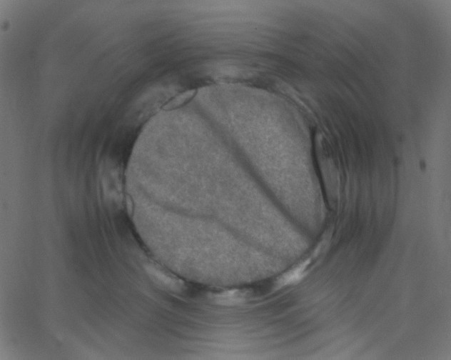 X0000067380430200604281821