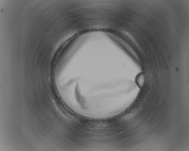 X0000067380443200604281821