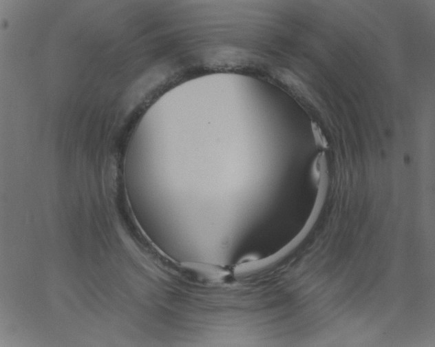 X0000067380448200604281821