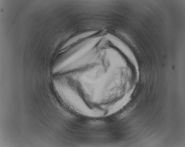 X0000067380453200604281821