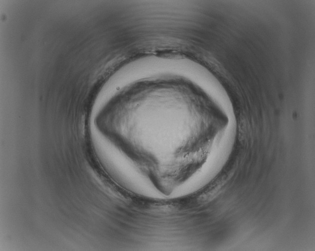 X0000067380454200604281821