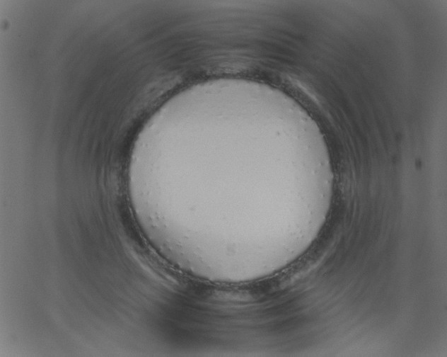 X0000067380455200604281821