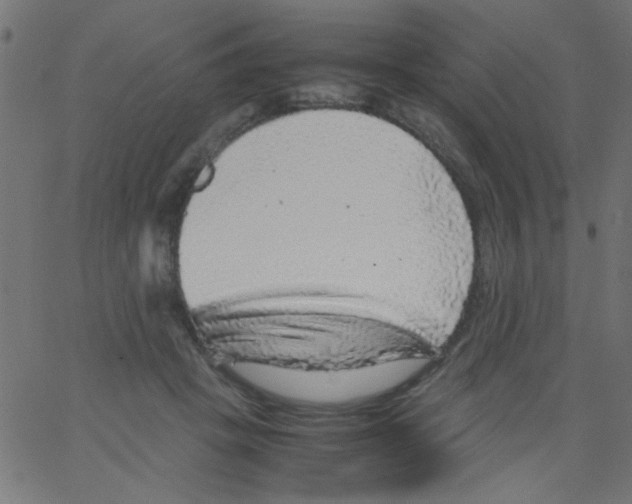 X0000067380457200604281821