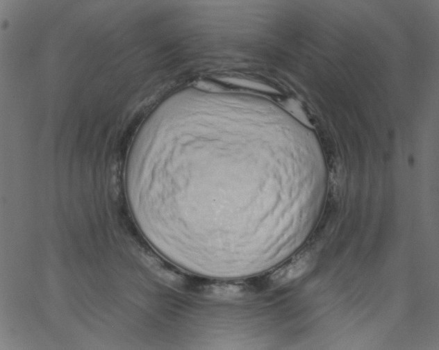 X0000067380462200604281821