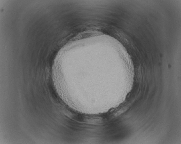 X0000067380463200604281821