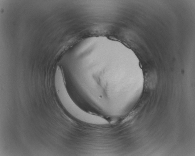 X0000067380474200604281821