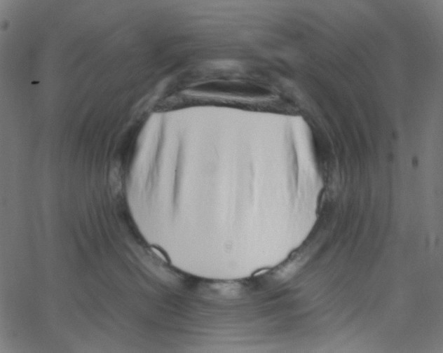 X0000067380478200604281821