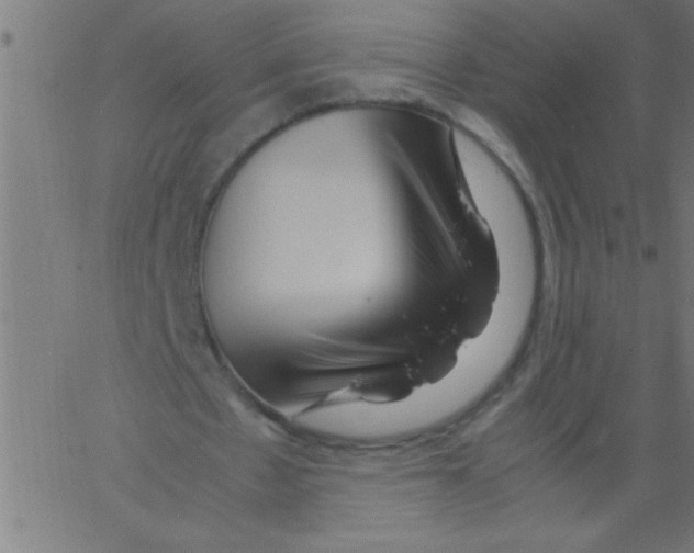 X0000067380481200604281820