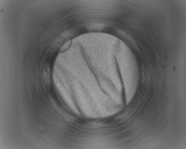X0000067380498200604281820