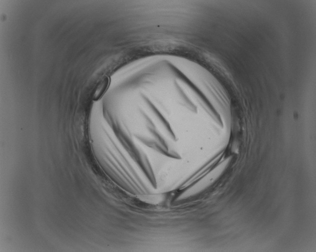 X0000067380501200604281820