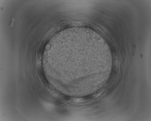 X0000067380507200604281820