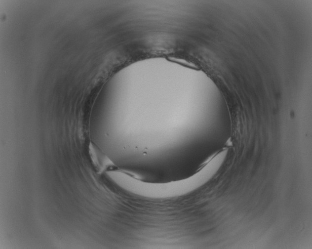 X0000067380512200604281820