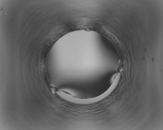 X0000067380513200604281820