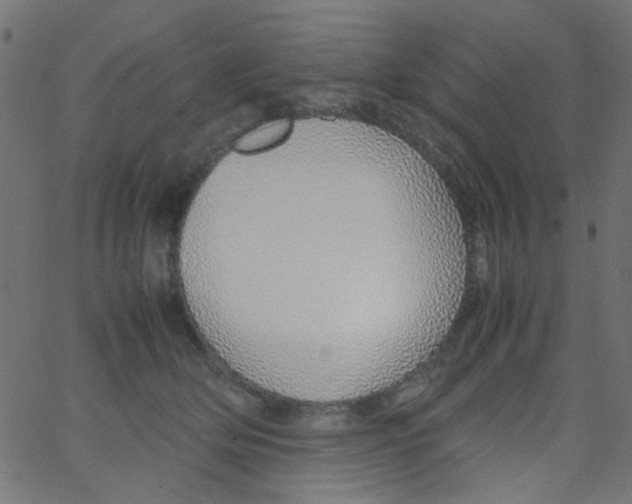 X0000067380514200604281820