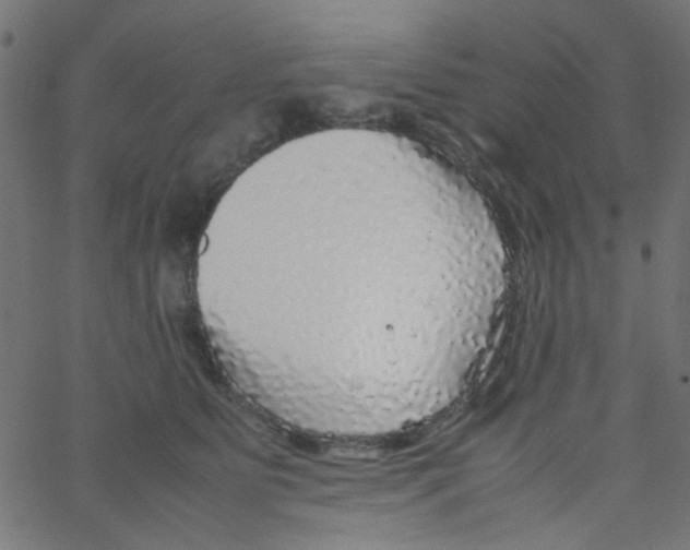 X0000067380515200604281820