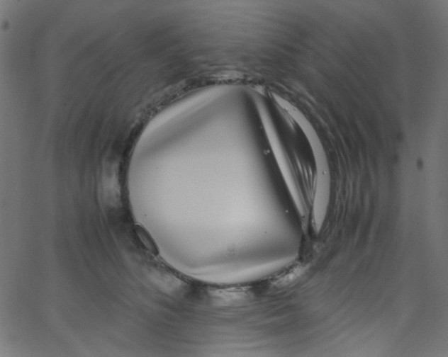X0000067380516200604281820