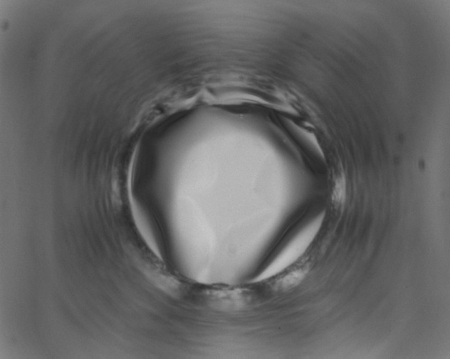 X0000067380524200604281820