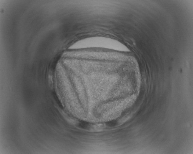 X0000067380527200604281820