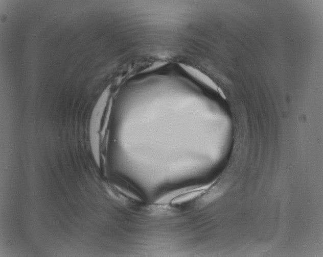 X0000067380528200604281820