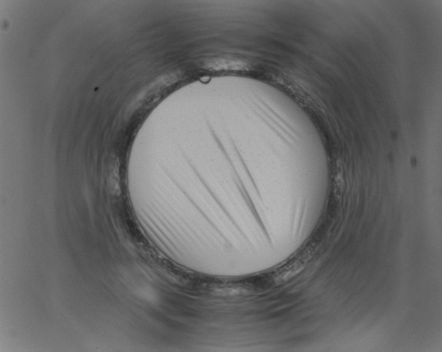 X0000067380547200604281819