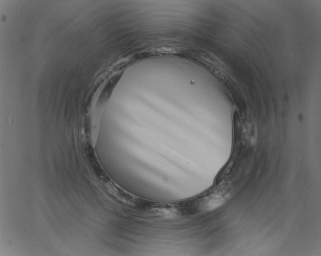 X0000067380552200604281819