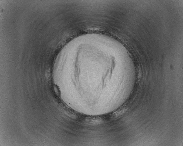 X0000067380559200604281819