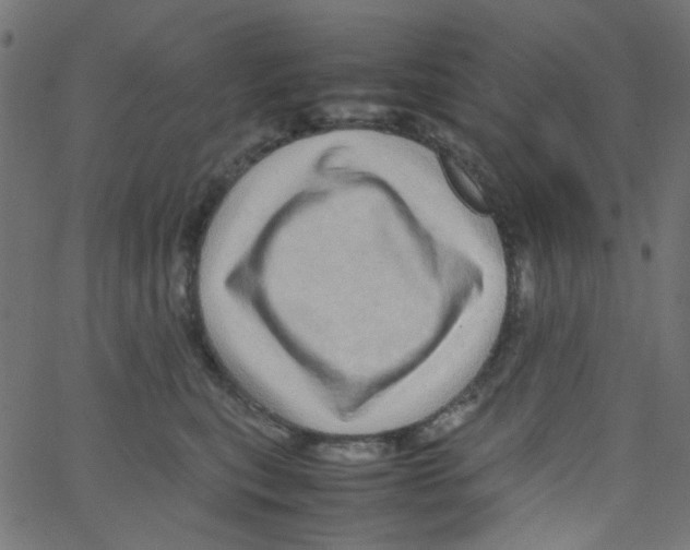 X0000067380567200604281820