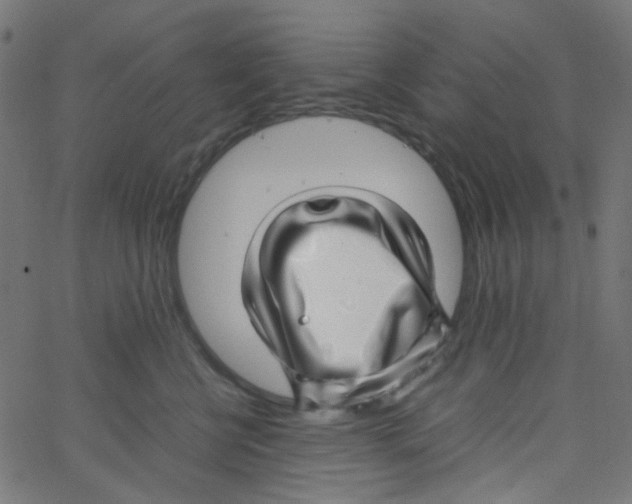 X0000067380570200604281820