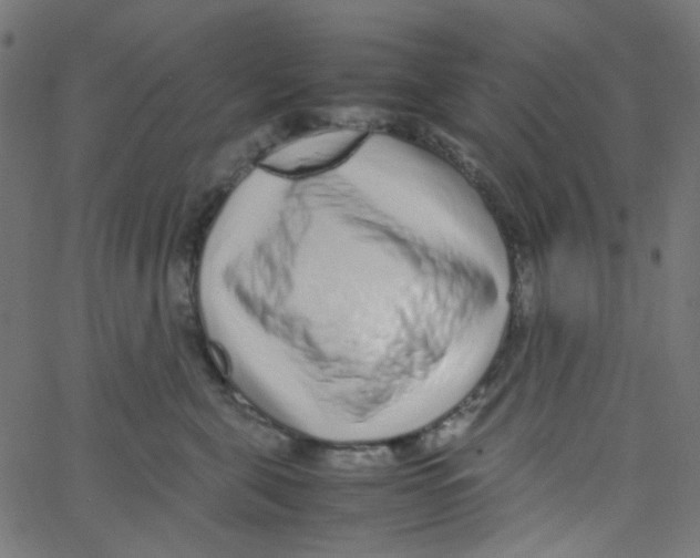 X0000067380571200604281820