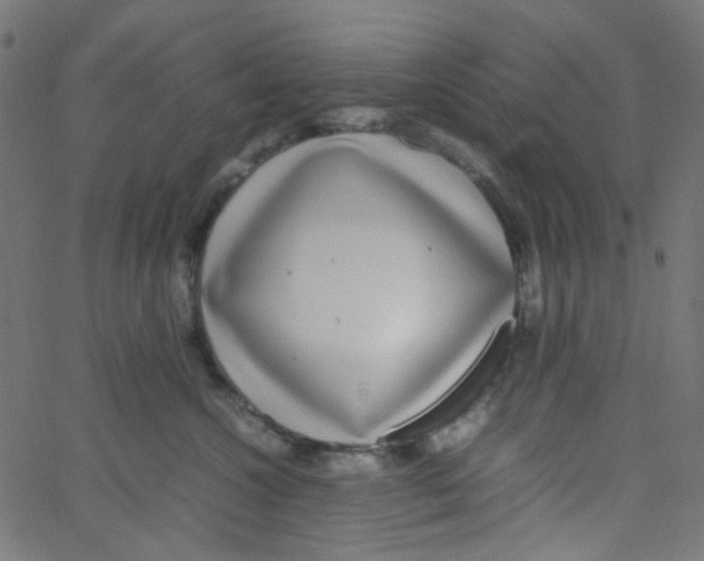 X0000067380572200604281820