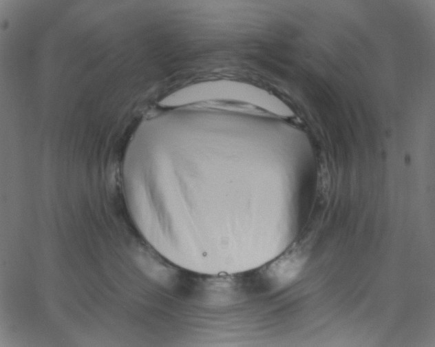 X0000067380574200604281820