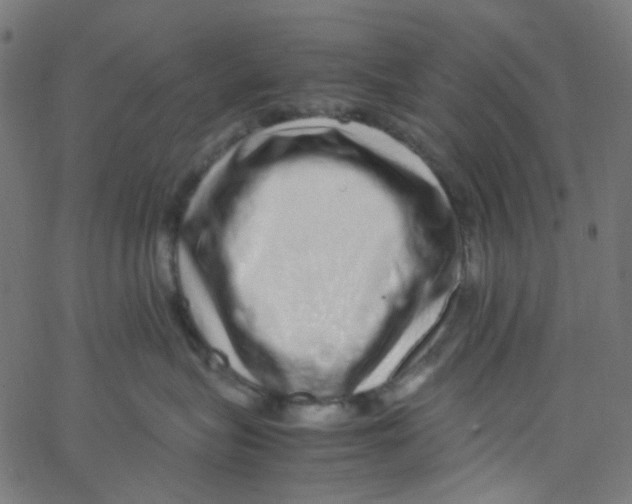 X0000067380575200604281820