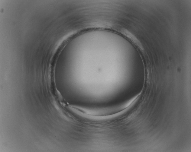 X0000067380580200604281819