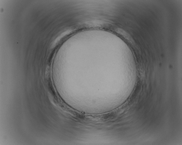 X0000067380583200604281819