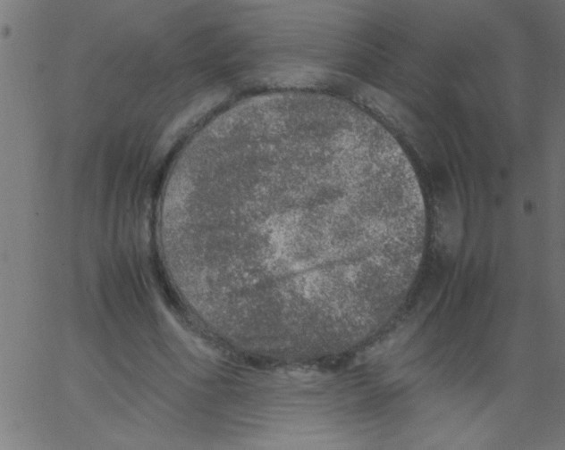 X0000067380586200604281819